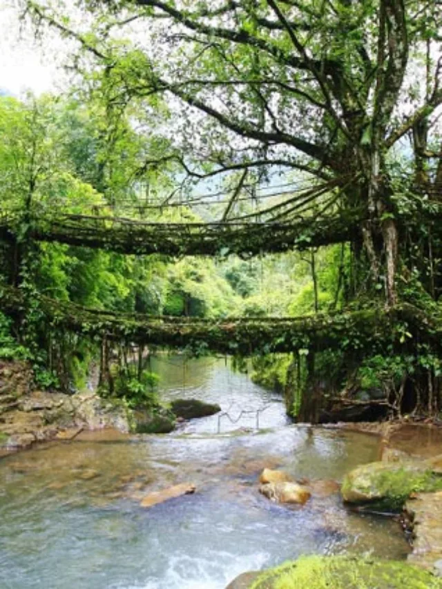 Amkoi Meghalaya In Hindi