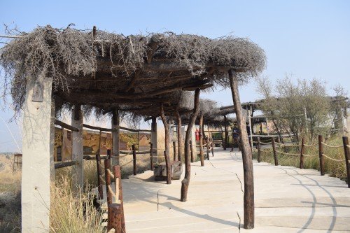 Kishan Bagh Desert Park In Hindi