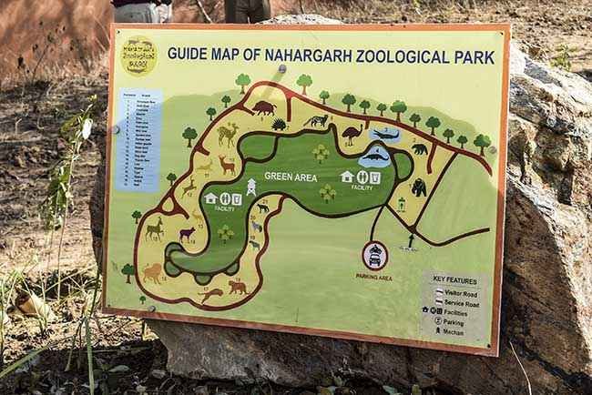 How to reach Nahargarh Biological Park