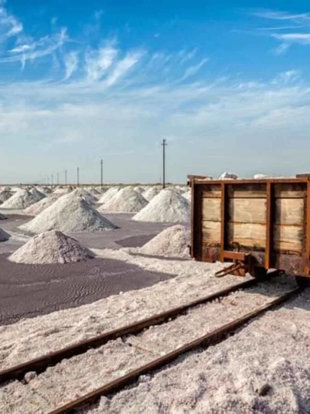 Best Travel Web Stories Sambhar Lake Jaipur Rajasthan