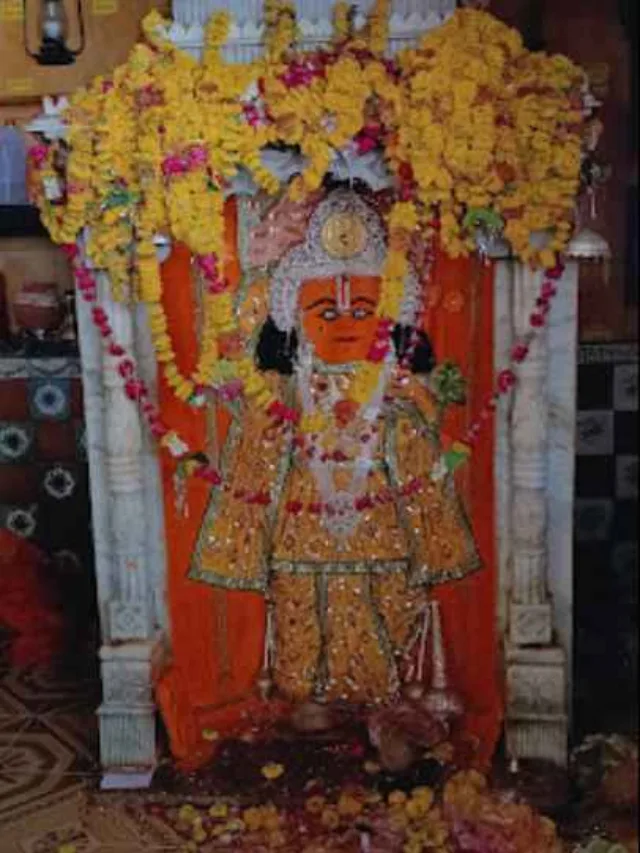 Dandraua Sarkar Photos