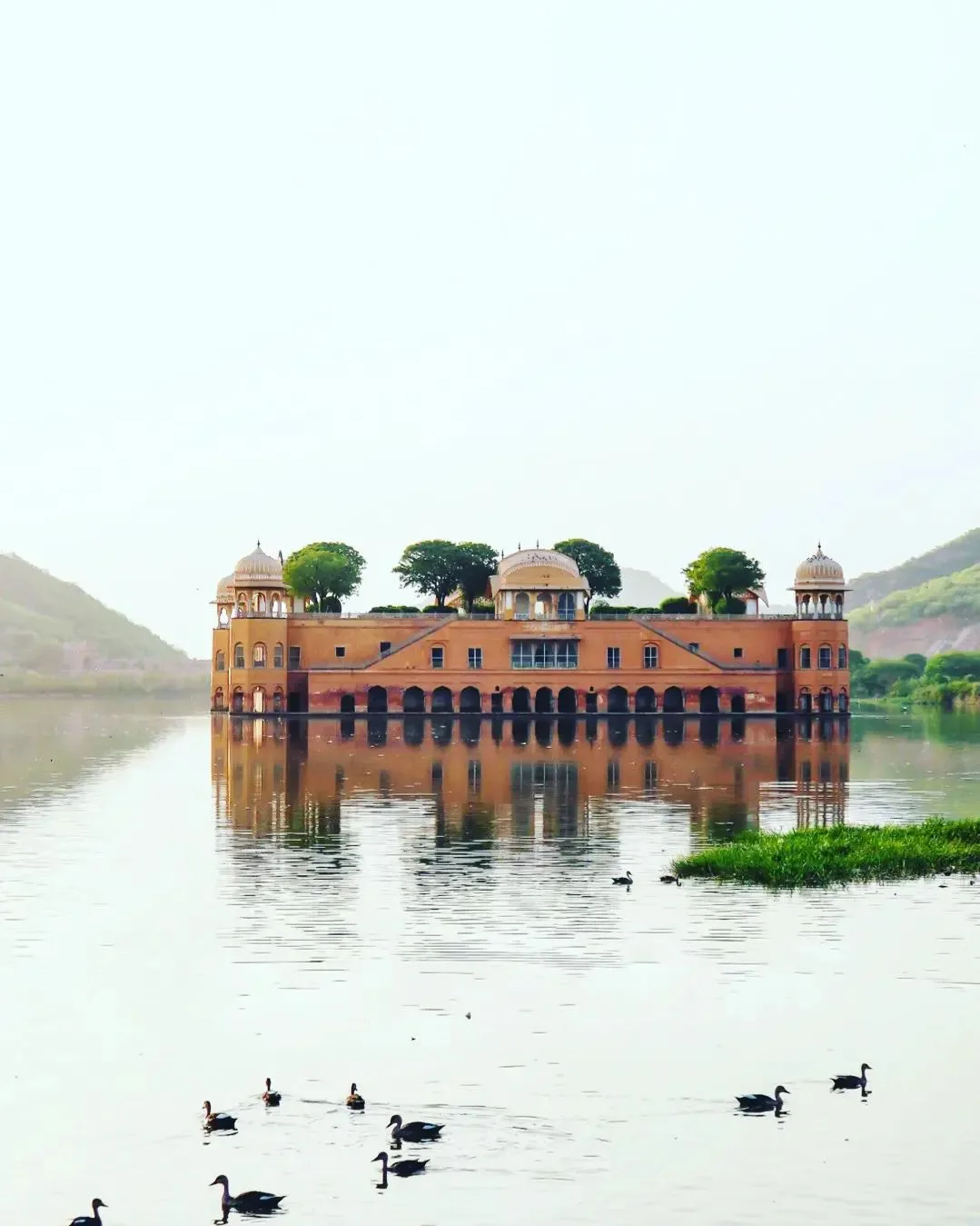 jal mahal jaipur inside pictures