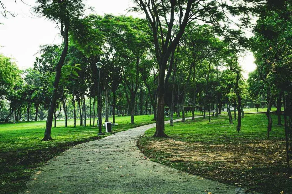 Nehru Park Delhi In Hindi