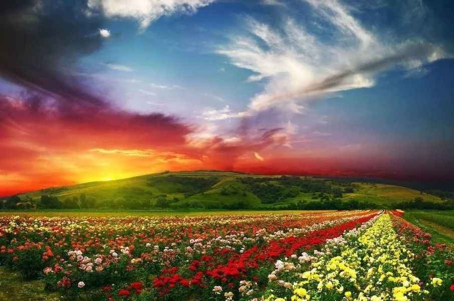 Valley Of Flowers Uttarakhand History In Hindi
