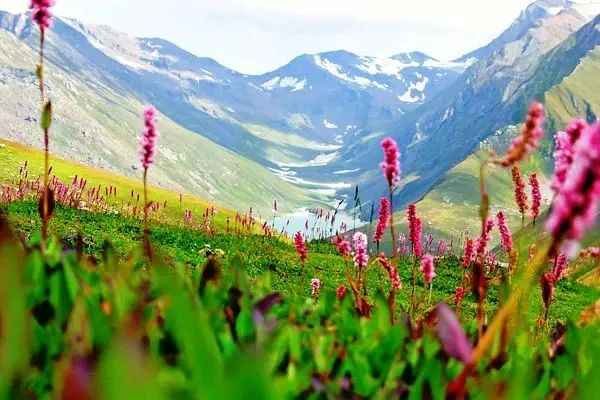 Valley of Flowers Entry Fee