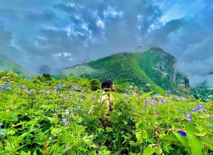 फूलों की घाटी का रहस्य और घूमने की जानकारी 2023: Valley Of Flowers Uttarakhand History In Hindi Valley of Flowers Photos \ Valley of Flowers Images