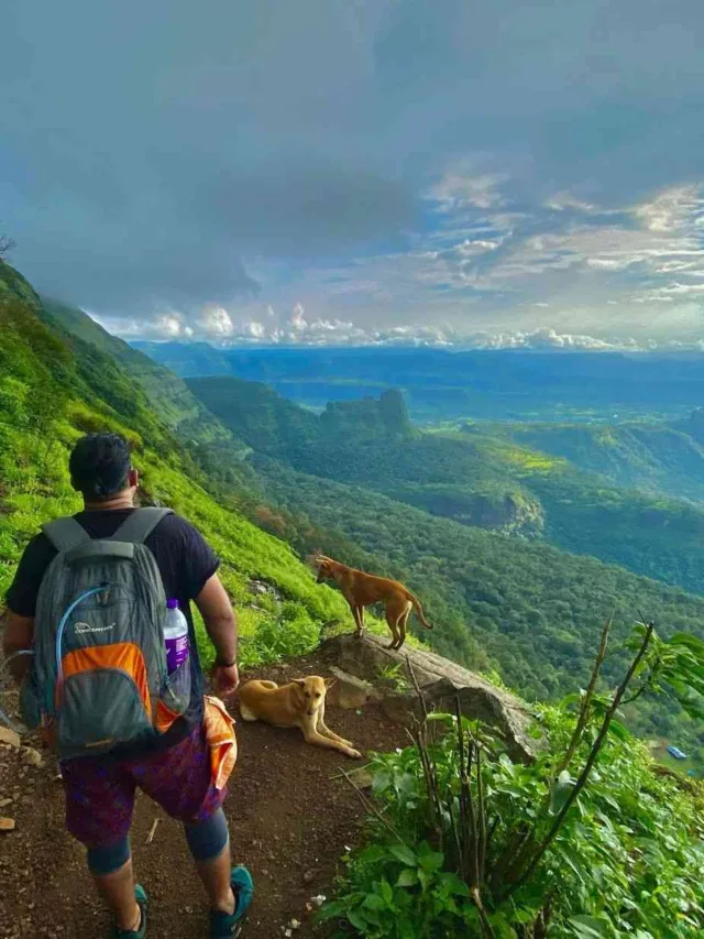 Top 5 Monsoon Treks in Maharashtra