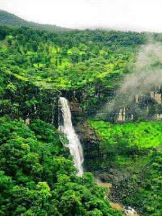 Best Travel Web Stories Dugarwadi Waterfall Tourist Places in Nashik in Hindi