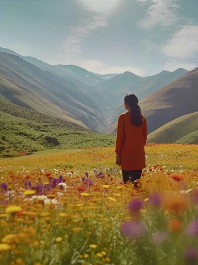 Best Travel Web Stories Valley of Flowers Photos Valley of Flowers Images