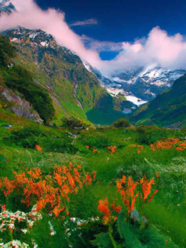 Valley of Flowers Photos  Valley of Flowers Images