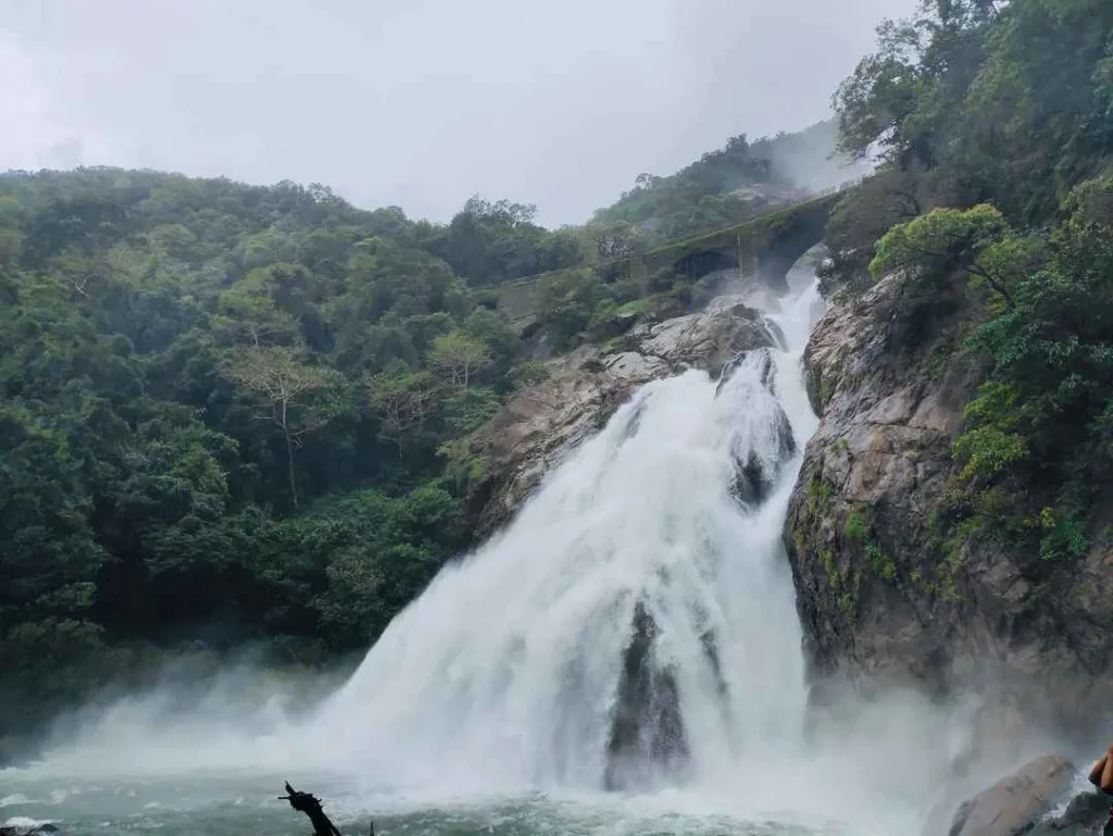 Dudhsagar Waterfall Goa Information In Hindi