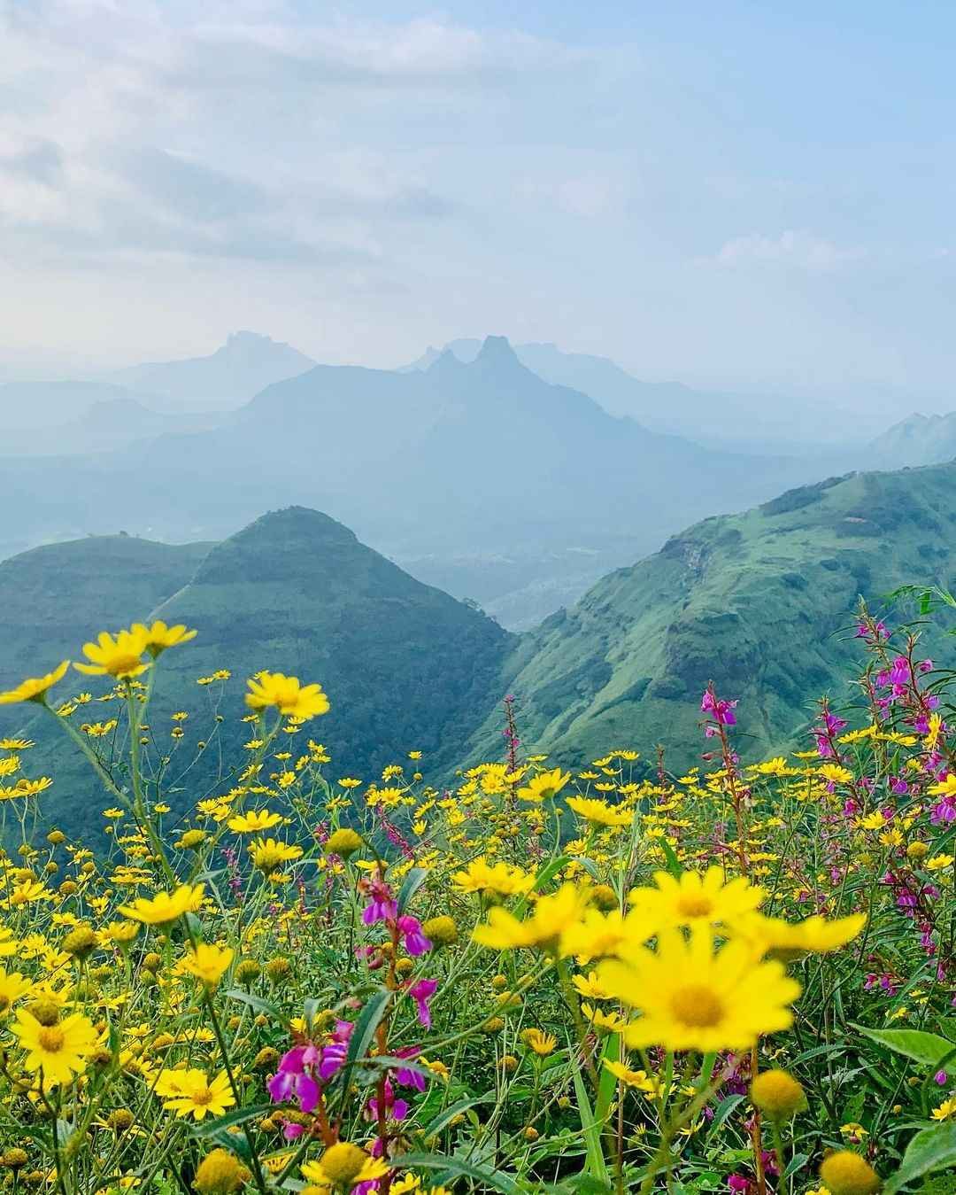 वीकेंड और मानसून के लिए माथेरान हिल स्टेशन जाने की पूरी जानकारी ...