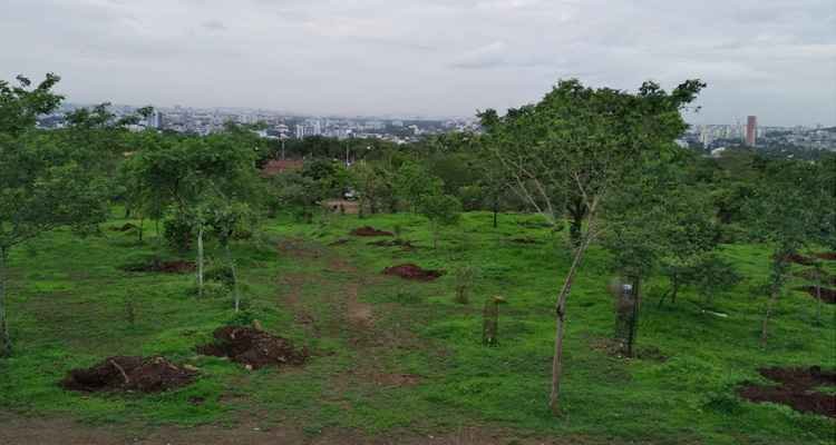 Taljai Hills Pune in Hindi
