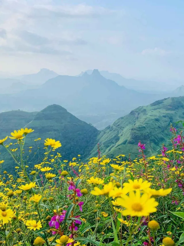 Best Travel Web Stories Matheran Best Hill Station In Hindi, Matheran Hill Station Information in Hindi, Matheran Best Hill Station In Hindi, Matheran Hill Station in Hindi, Matheran Best Hill Station In Hindi,