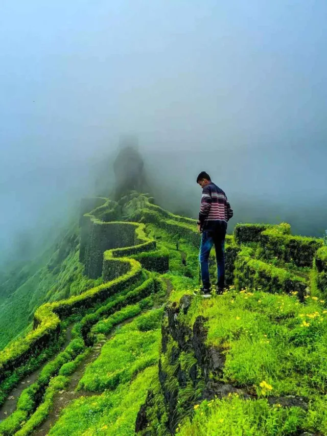 About Rajgad Fort Pune in Hindi