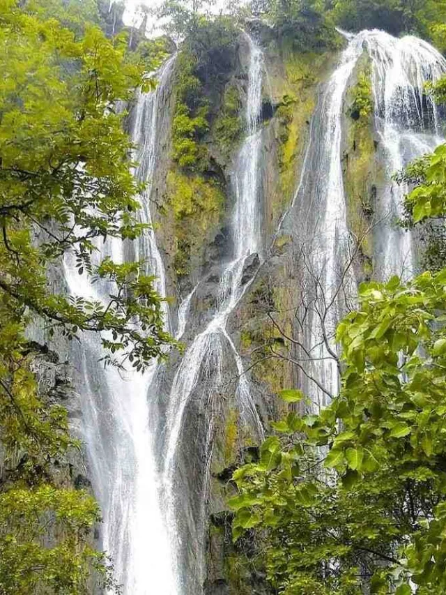 Rajasthan ka doodh sagar