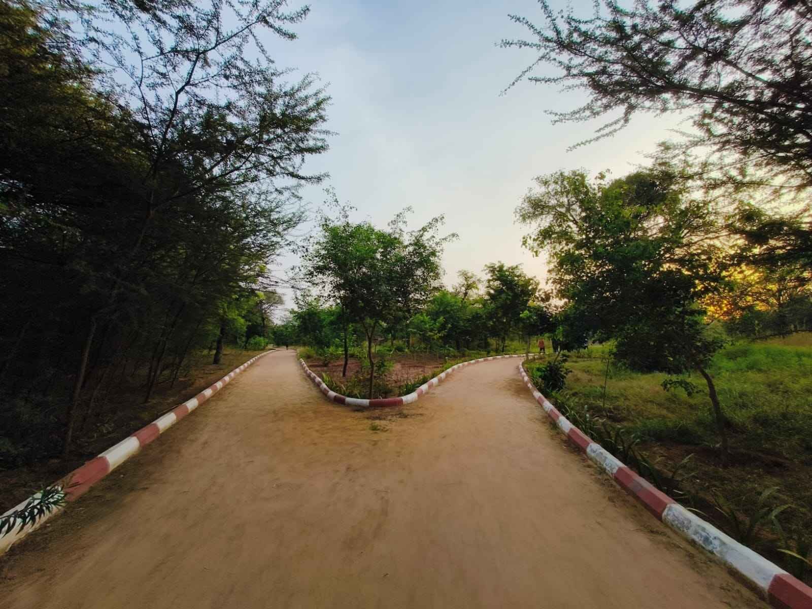 Beed Forest  Park Govindpura, Jhotwara