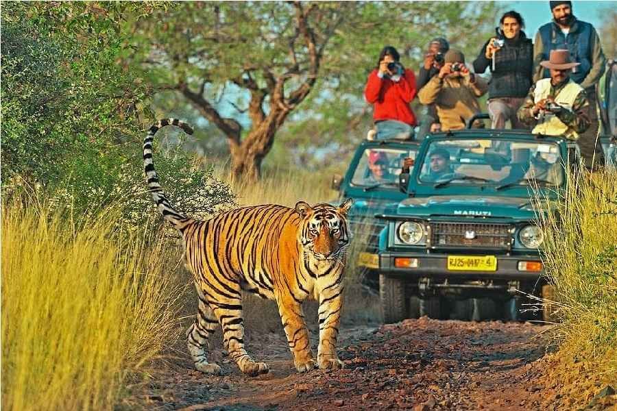 Best Places To Visit In Ranthambore In Hindi