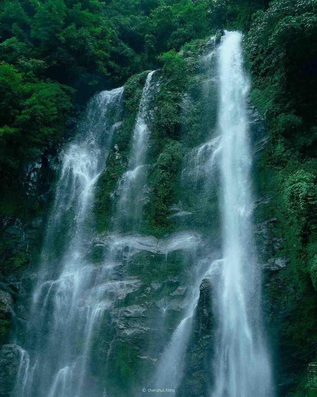 Tourist Places to Visit in Darjeeling