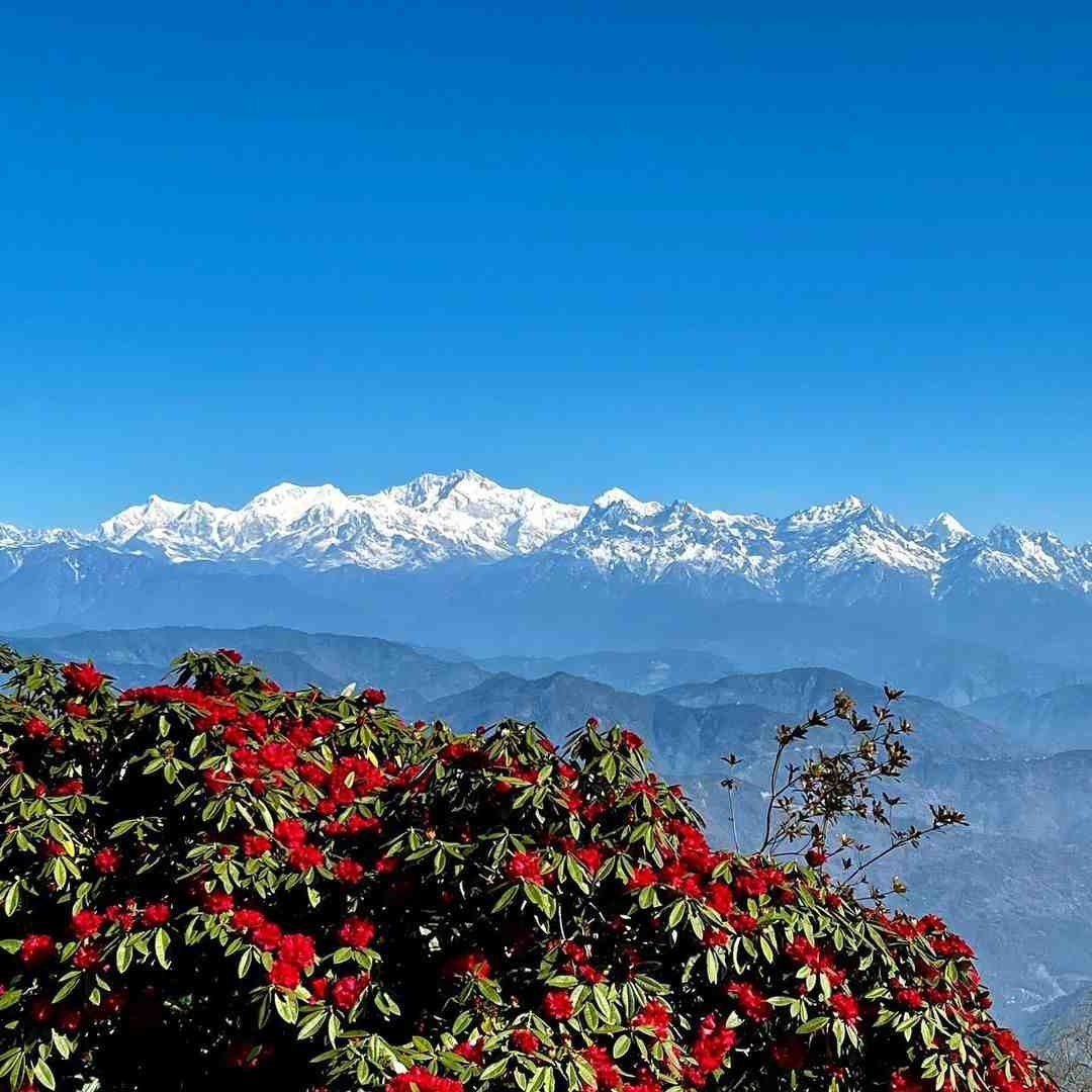 Tiger Hill Darjeeling In Hindi - मशहूर पर्यटन स्थल टाइगर हिल