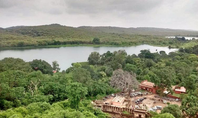 Surwal Lake in Ranthambore in Hindi