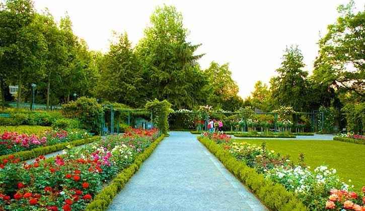 चंडीगढ़ में घूमने की ख़ूबसूरत जगह और जाने का सही समय: Best Tourist Places In Chandigarh In Hindi Rose Garden Chandigarh In Hindi - ज़ाकिर हुसैन रोज़ गार्डन