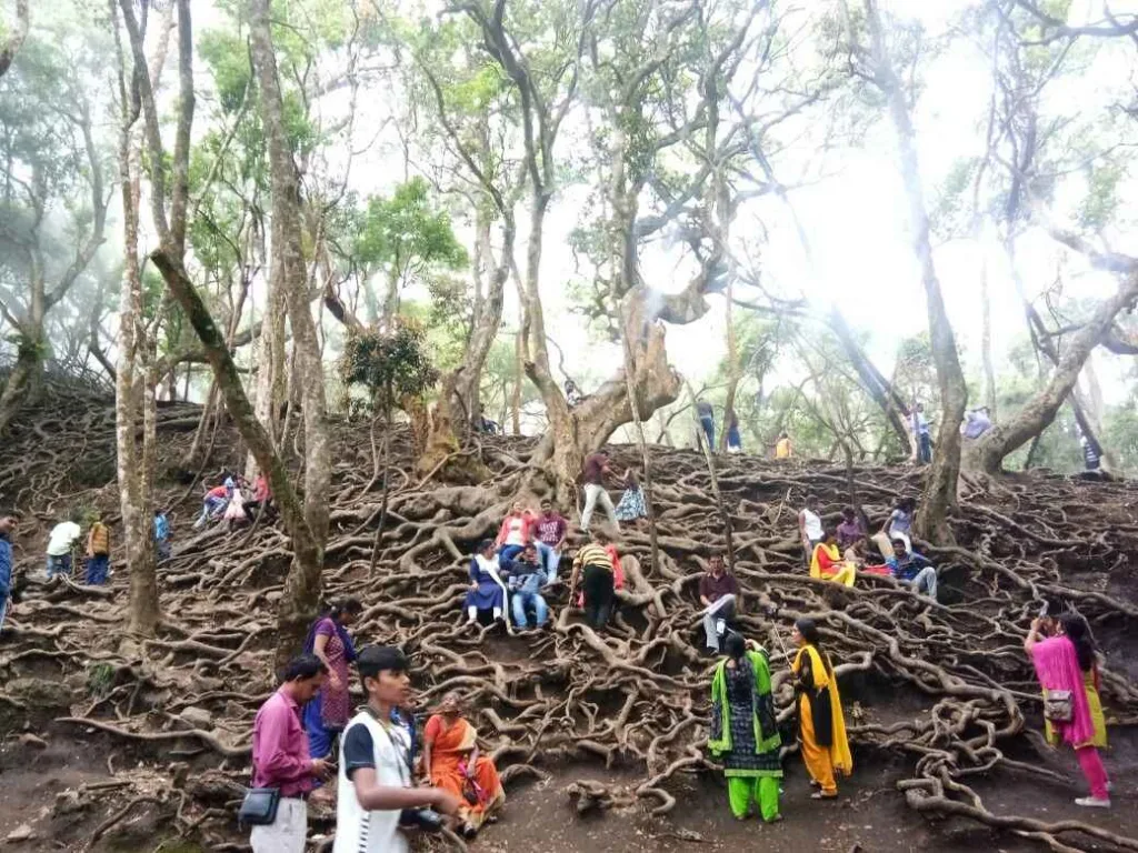 अप्रैल में घूमने के लिए भारत के 10 बेहतरीन जगहें जहां देश-विदेश से पर्यटक आते हैं: Top Places to Visit in April in India in Hindi Guna Caves Kodaikanal Travel Info In Hindi, Guna Caves Tamil Nadu Travel Info In Hindi, About Guna Caves (Devil's Kitchen) Kodaikanal, Guna Caves aka Devil's Kitchen, Shocking Revelation of Guna Caves or Devils Kitchen, Guna Caves Kodaikanal Photos, How many people died in Guna Cave, Guna Caves Ghumne Ki Jankari, interesting facts about the Guna Caves in Kodaikanal, guna caves history, Guna Caves Entry Fee, Guna Caves Timing, Best Time To visit Guna Caves Kodaikanal In Hindi, The Mystery Of Guna Caves, Information About Guna Caves,
