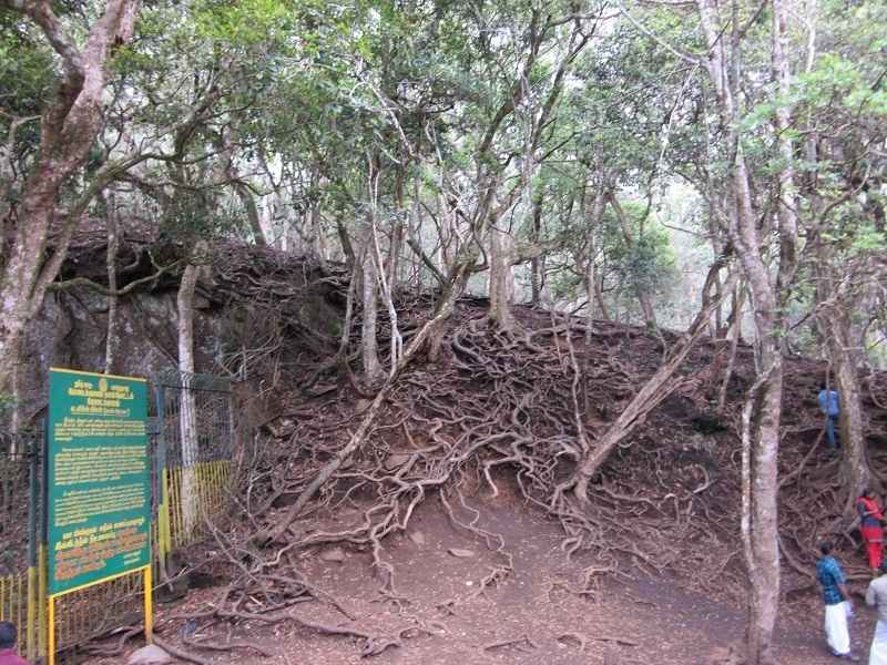 गुना गुफाएं जो है बेहद खूबसूरत और खतरनाक, जाने से कतराते हैं लोग: Guna Caves Kodaikanal Travel Info In Hindi Guna Caves Kodaikanal Travel Info In Hindi, Guna Caves Tamil Nadu Travel Info In Hindi, About Guna Caves (Devil's Kitchen) Kodaikanal, Guna Caves aka Devil's Kitchen, Shocking Revelation of Guna Caves or Devils Kitchen, Guna Caves Kodaikanal Photos, How many people died in Guna Cave, Guna Caves Ghumne Ki Jankari, interesting facts about the Guna Caves in Kodaikanal, guna caves history, Guna Caves Entry Fee, Guna Caves Timing, Best Time To visit Guna Caves Kodaikanal In Hindi, The Mystery Of Guna Caves, Information About Guna Caves,