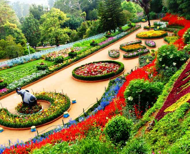 Government Botanical Garden in Ooty in Hindi