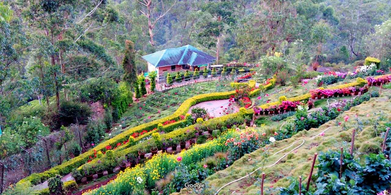 Rose Garden in Munnar in Hindi