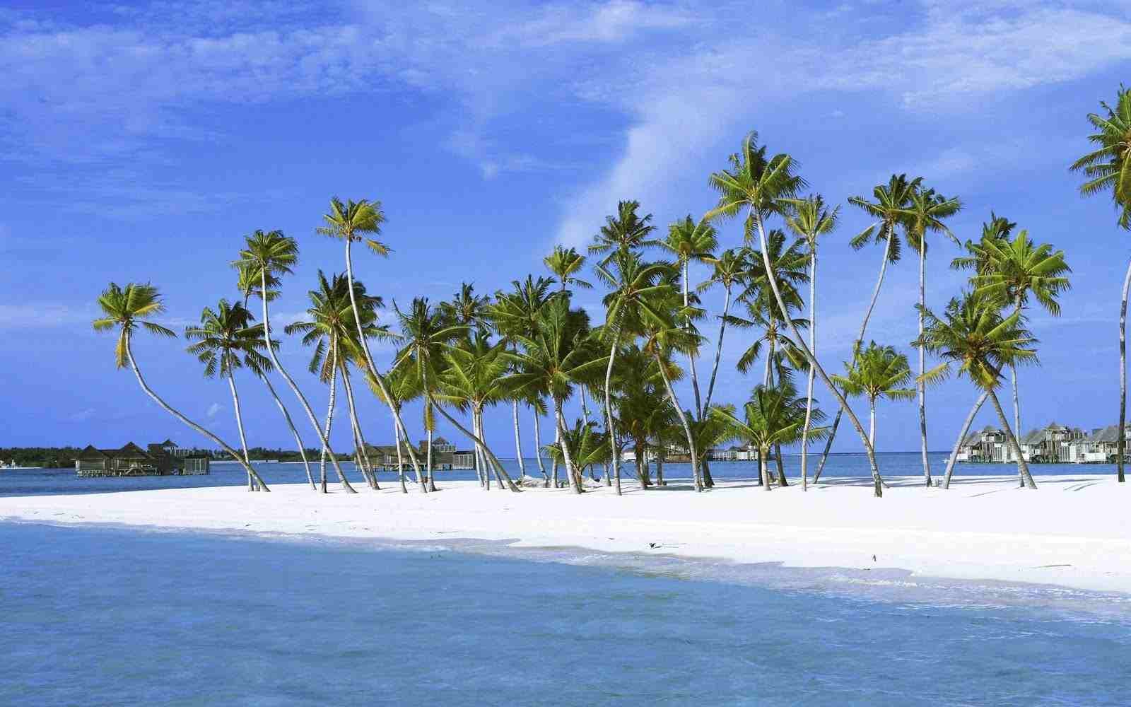 How To Get Travel Permit To Visit In Lakshadweep In Hindi