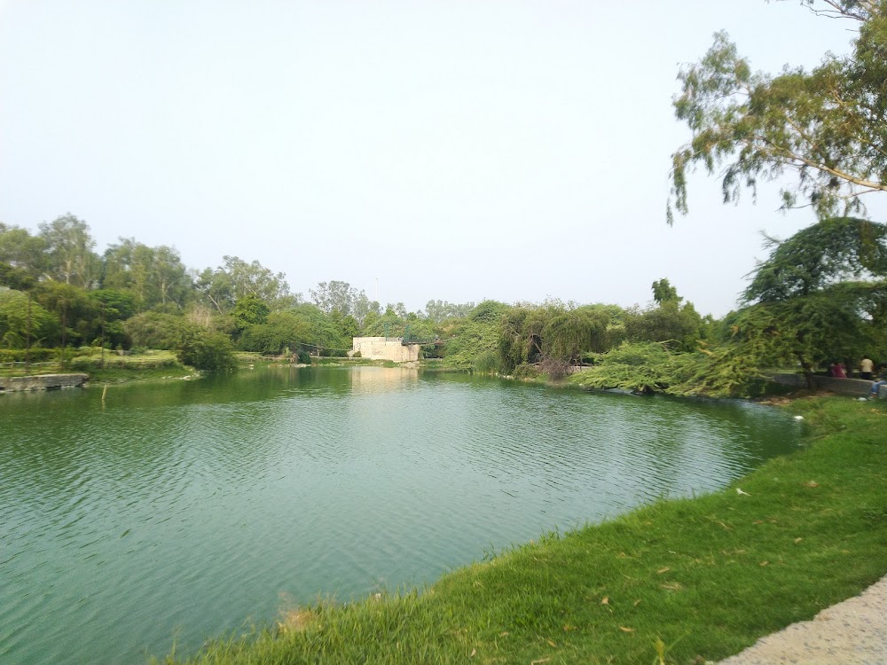 दिल्ली की सबसे खूबसूरत झील, प्रकृति, एडवेंचर और सुकून का संगम:- Sanjay Lake Delhi Travel Guide In Hindi Sanjay Lake Delhi scenic view image, Sanjay Lake Delhi boating view photo, Sanjay Lake Park Delhi sunrise photo, Sanjay Lake Mayur Vihar green park image, Sanjay Lake Delhi picnic spot photo, Sanjay Lake Delhi water reflection photo, Sanjay Lake Delhi morning walk image, Sanjay Lake Delhi nature photography, Sanjay Lake Delhi park landscape image, Sanjay Lake Delhi trees and lake photo